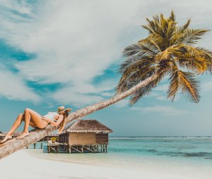 Žena se sunča na palmi